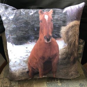 Meet your Posher, Julie